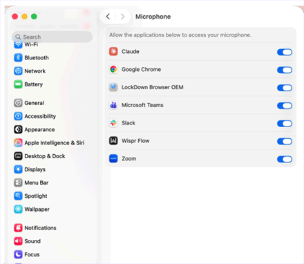 Mic permission on Mac 1