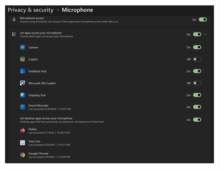 Mic permission on Windows 1